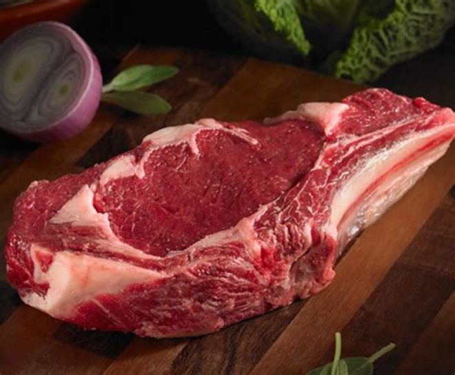 Bison