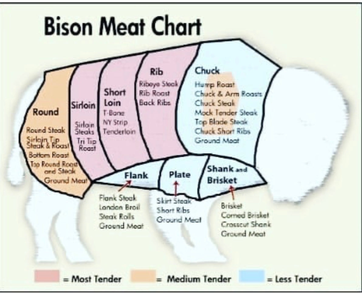 Bison