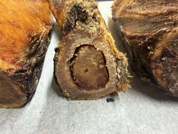 Bison Bone (lg.)