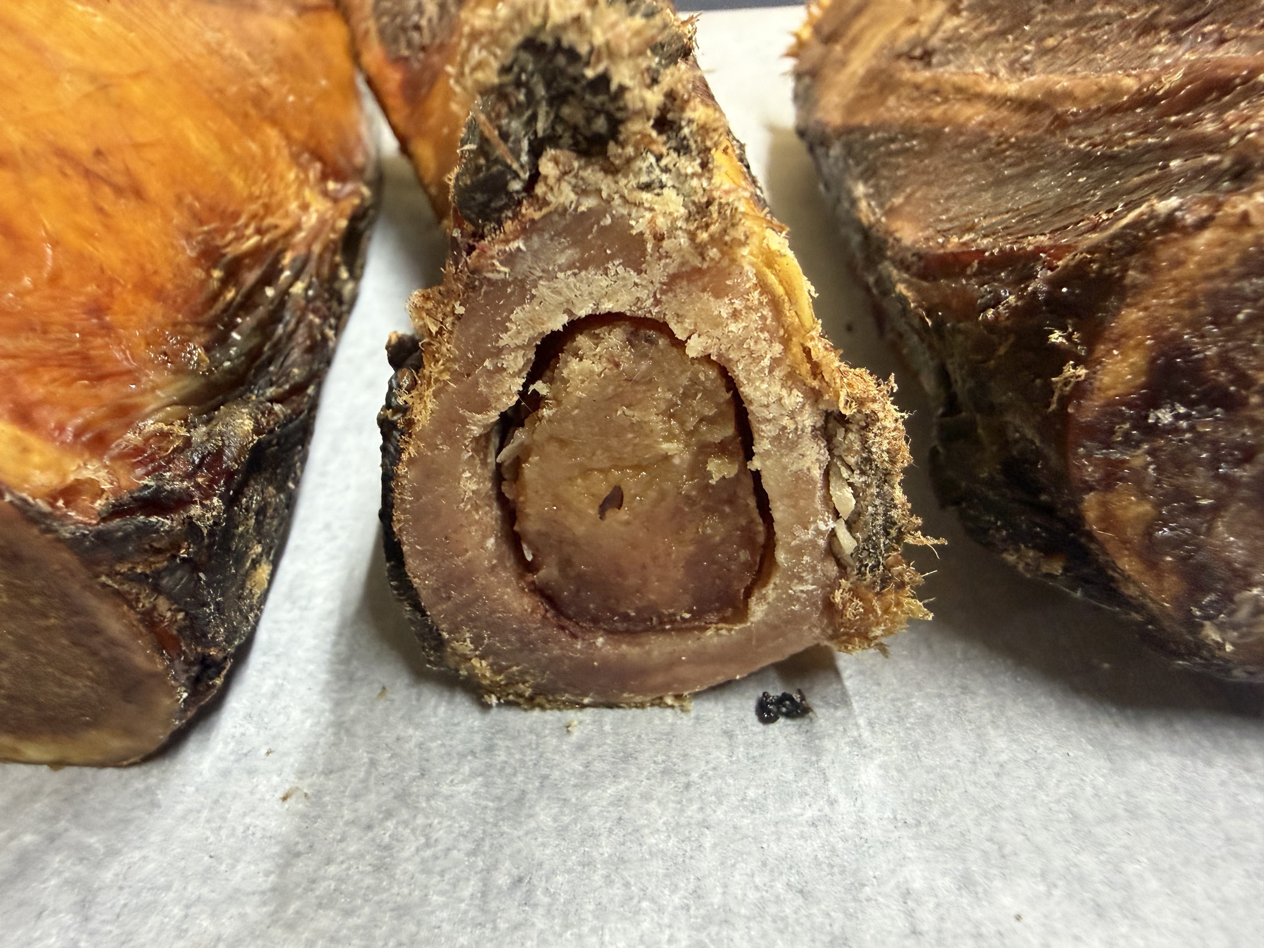 Bison Bone (lg.)