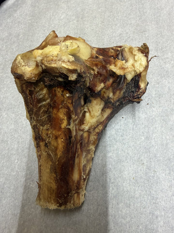 Ostrich Bone (lg.)