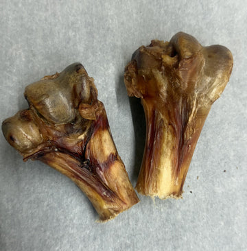 Ostrich Bone (med.)