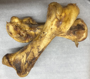 Ostrich Femur