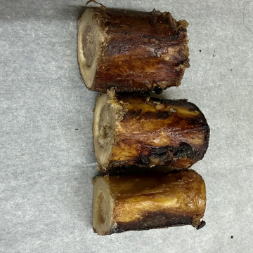 Bison Bone (sm.)